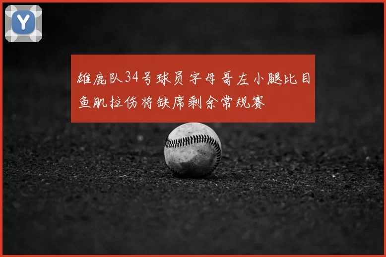 雄鹿队34号球员字母哥左小腿比目鱼肌拉伤将缺席剩余常规赛