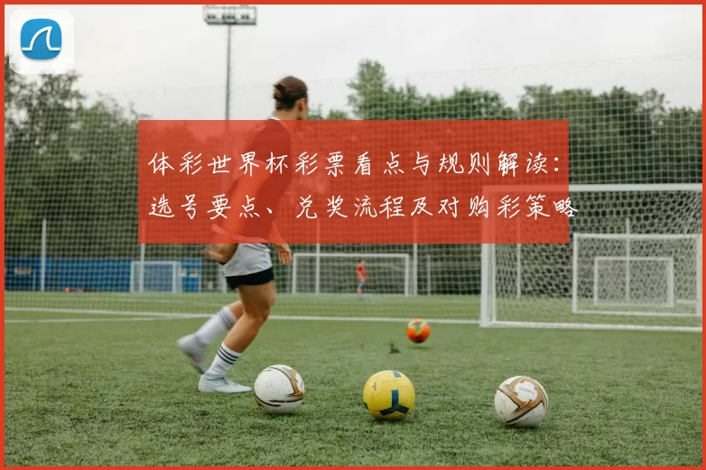 体彩世界杯彩票看点与规则解读：选号要点、兑奖流程及对购彩策略影响