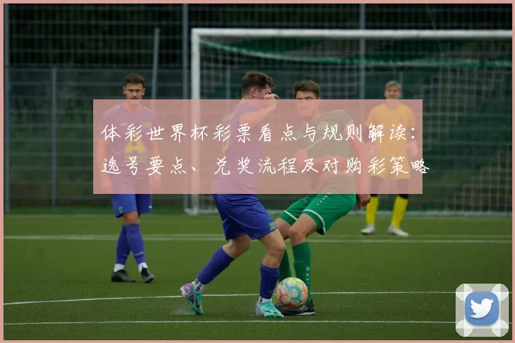 体彩世界杯彩票看点与规则解读：选号要点、兑奖流程及对购彩策略影响